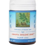 TCM Herbs Obnova spálené země 100 tbl. 