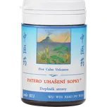 TCM Herbs Patero uhašení sopky 100 tbl.