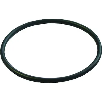 vodní filtr Geos agt Těsnění k filtrům na mechanické nečistoty (pro FL251, 252) IDP251011