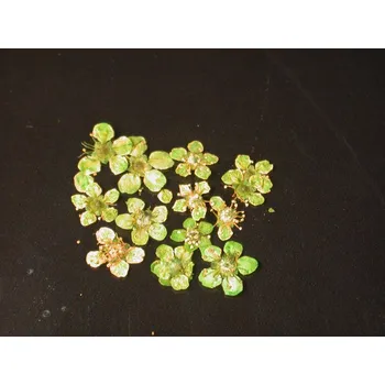 Přípravek na nehty Sušené květiny 3. zelené