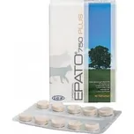 Epato 750 Cat 30 tbl