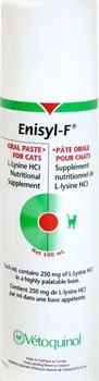 Lék pro psa a kočku Enisyl-F 100 ml