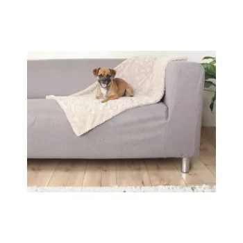 Dětská deka Plyšová deka COSY béžová 100×70cm