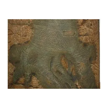 Dekorace do akvária Akvarijní pozadí Root 59×55cm