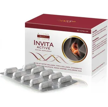Kloubní výživa Invita Active 60 kapslí