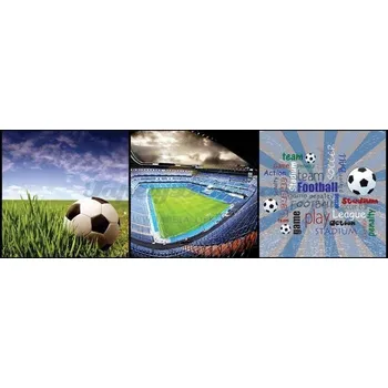 Fototapeta Vliesová fototapeta 2dílná / vliesové fototapety 2dílné na zeď Fotbal M224 + lepidlo GTV (330 x 110cm) Dimex