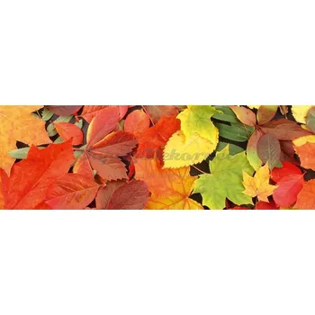 Fototapeta Samolepicí fototapeta na kuchyňskou linku Leaves KI180-027 / Fototapety do kuchyně Dimex (180 x 60 cm)