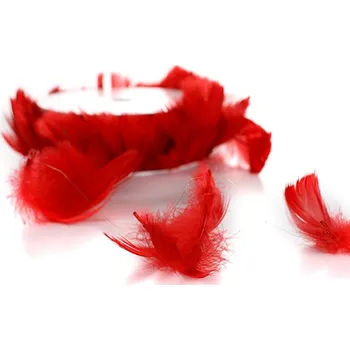 Party dekorace Červené peří, 10 m