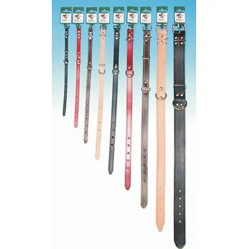 Obojek pro psa Obojek kožený podšitý 1,2x35 cm