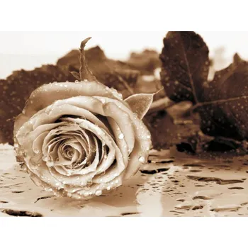 Fototapeta Fototapety 4 dílné / fototapeta na zeď 4 dílná FTS0086 AG Design (360 x 254 cm)