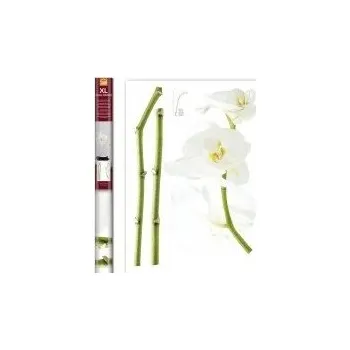 Samolepící dekorace Samolepicí dekorace White Orchid 57714 / Samolepky na zeď Crearreda (70 x 100 cm)