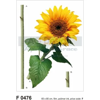 Samolepící dekorace Samolepicí dekorace (65x85cm) na zeď AGF00476