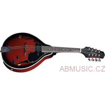 Mandolína TENSON FOLK Mandolína A-1 E + POUZDRO (Mandolína)