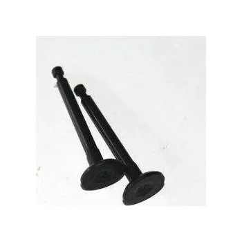 Příslušenství k čerpadlu Ventil sací pro 4-taktní motorový kit 49cc