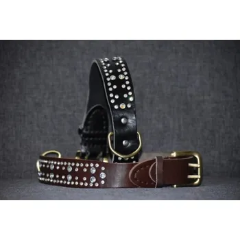 Obojek pro psa Kožený obojek - zdobený