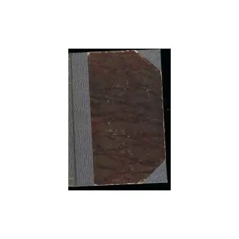 Pozoruhodný případ Davidsonových očí - Herbert George Wells