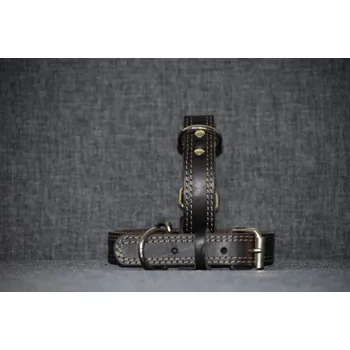 Obojek pro psa Kožený obojek