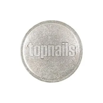 Přípravek na nehty pigment mirror / chrome SILVER
