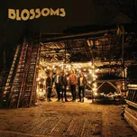 Blossoms - Blossoms [CD]