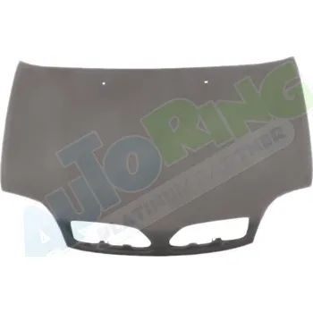 Kapota Kapota NISSAN Micra (K11) 03.98-2003 LA.0000.8619.05-39948 - DOPRAVA ZDARMA