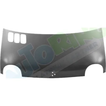 Kapota Kapota RENAULT Twingo 2 (C06) 1999-04.07 LA.0000.8676.95-40093 - DOPRAVA ZDARMA