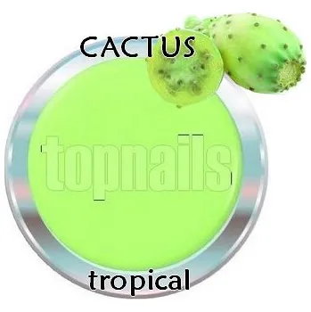 Lak na nehty topnails - barevný UV gel TROPICAL CACTUS 5g (color gel)