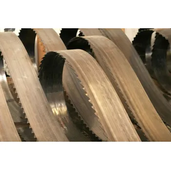 Pilový pás PILOVÝ PÁS 30MM ŠÍŘE PRO PÁSOVOU PILU HOLZMANN HBS810