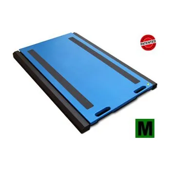 Průmyslová váha Vážící plošina DINI ARGEO WWSD15TM, 15t/5kg, EU ověření v ceně (odolná plošina pro vážení silničních vozidel)