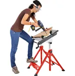 PRACOVNÍ STŮL HOLZMANN WST20