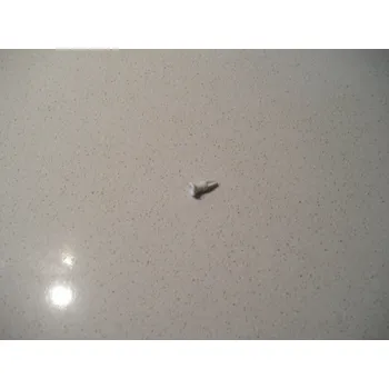 Příslušenství pro lednici Kryt otvoru šroubu 2230375012