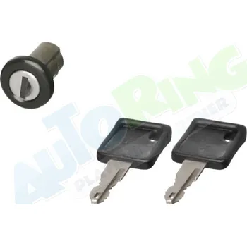 Autozámek Vložka zámku dveří RENAULT Traffic (T1-T6,P6,TX,PX) 1980-02.01 LP.0000.0856.43-85646 - DOPRAVA ZDARMA