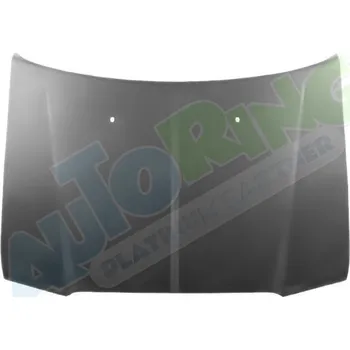 Kapota Kapota CHRYSLER 300C (LX) 2004-03.11 LA.0000.8450.13-40531 - DOPRAVA ZDARMA