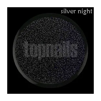 Umělé nehty topnails - barevný UV gel SILVER NIGHT 5g (color gel)