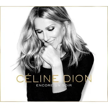 Zahraniční hudba Encore un soir - Céline Dion [CD]