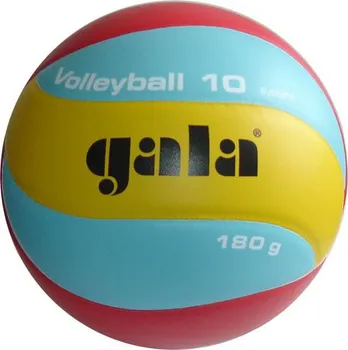 Volejbalový míč Gala Training BV5541S