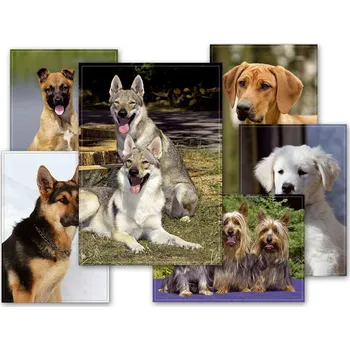 MFP pohlednice sr Z028 B UV 1230242