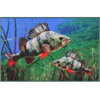 Delphin Rohožka 3D Okouni 60x40cm