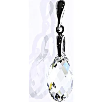 Přívěsek Stříbrný přívěšek se Swarovski čirými krystaly 17 mm, P 1313/22