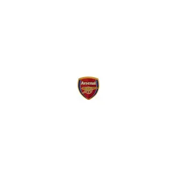 Dekorativní magnet Magnet na ledničku Arsenal FC (typ 3D)