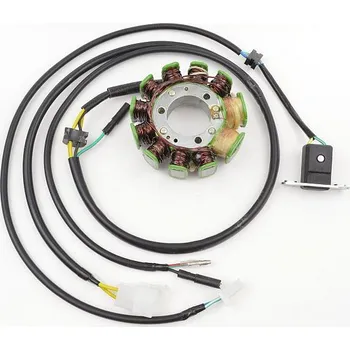 Elektroinstalace pro motocykl Honda CMX 250 C Rebel 1996-2009 stator alternátoru (USA Electrosport ESG106)