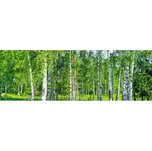 DIMEX KI-180-044 Březový háj 180 x 60 cm