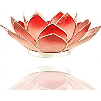 Svícen Lotos svícen Capiz růžovočervený se stříbřitými lemy