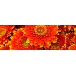 Dimex KI-180-059 Gerbera 180 x 60 cm