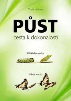 Osobní rozvoj Půst - cesta k dokonalosti: Příběh housenky, příběh motýla - Martin Jelínek