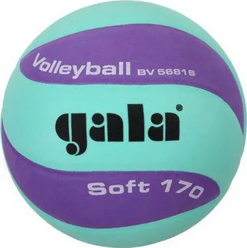Volejbalový míč Gala Soft BV5681SCF