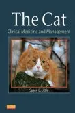 Cizojazyčná kniha Cat – Susan Little