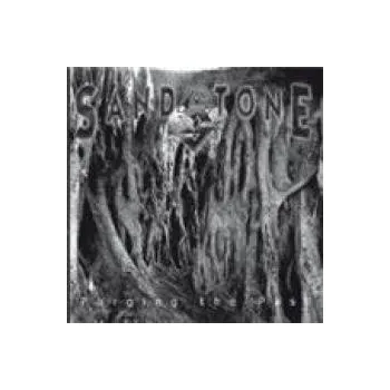 Zahraniční hudba Purging The Past - Sandstone [CD]