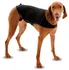 Obleček pro psa The Company of Animals Anxiety Wrap