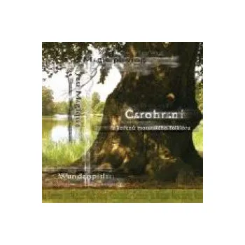 Česká hudba Čarohraní / Z kořenů moravského folklóru - Various [CD]