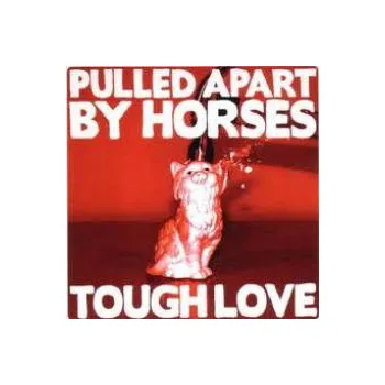Zahraniční hudba Tough Love - Pulled Apart By Horses [CD]